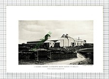 Farmers Co-Operative Bacon Factory Ireland - c.1930s Print / Cutting