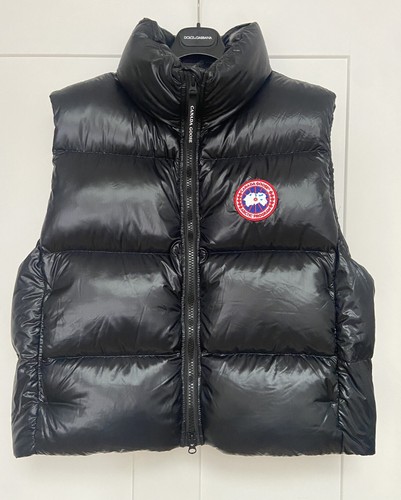 Canada goose cypress - goose,