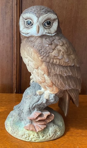 Vintage the tawny owl by - ‘the,