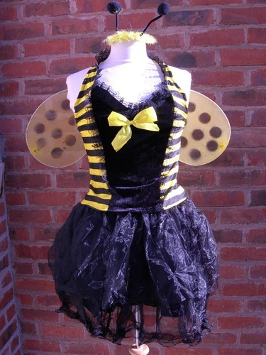 Bumble bee fancy dress - fancy, costume