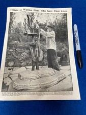 ABSTRACT CUTTING  19/27  CM