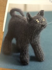 British Shorthair Cat Knitting