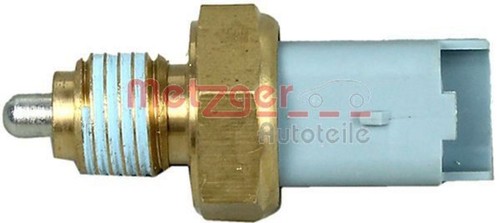 Metzger reversing light switch
