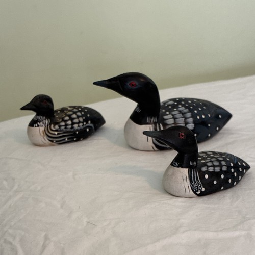 Land sea collectibles loon - sea,
