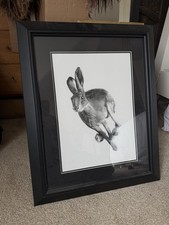 Limited Signed Print of Irish Hare In Frame by Artist