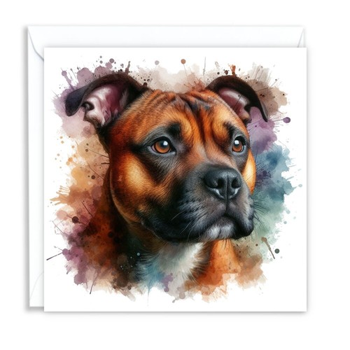 Staffy staffordshire bull - staffy,