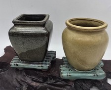 2 Glazed Terracotta Succulent