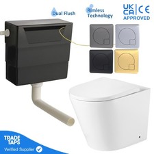 Rimless Back to Wall Toilet