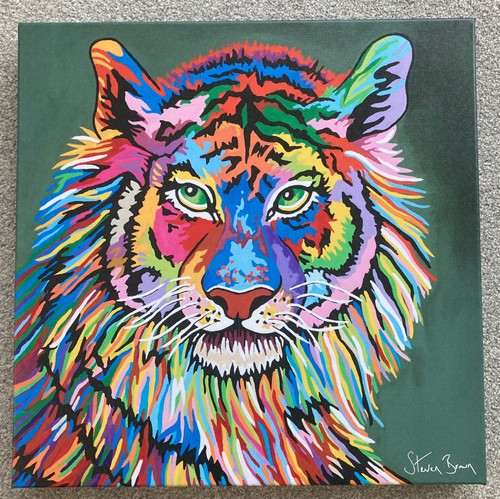 Steven brown kim mczoo zebra - mczoo,