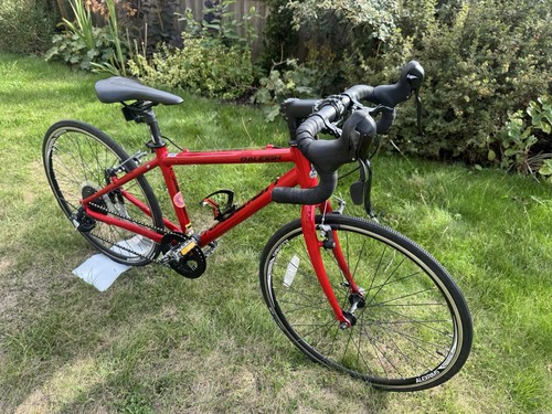 Raleigh performance road - performance, 24