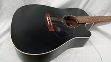 NORMAN B18CW electric acoustic