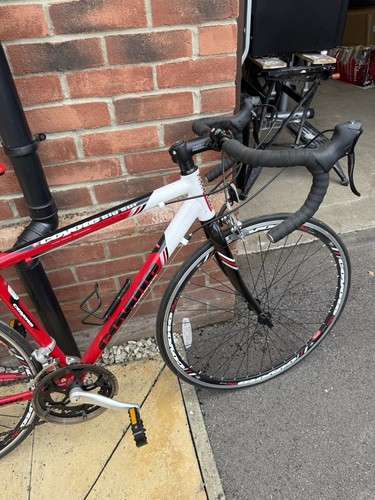 Coyote road bike - coyote,