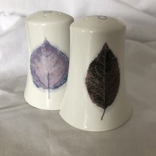 Portmeirion Dusk Ceramic White With Leaf Design Modern Salt & Pepper Pots.