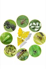 20 Yellow Sticky Traps for Flying Plant Insect Flies Aphids Catcher Paper Traps 