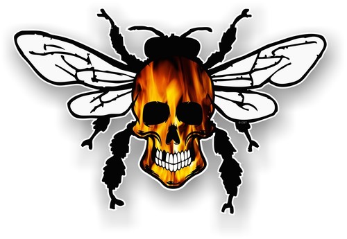 Bumble bee skull insect - bumble,