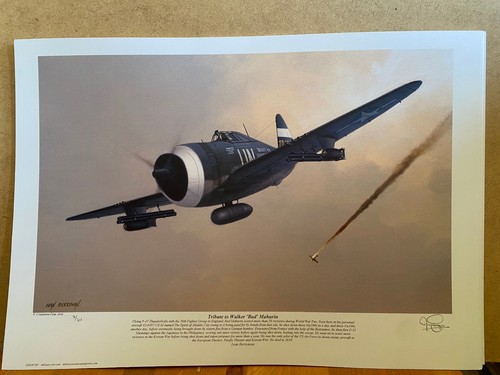 Ltd fighter ace - ,