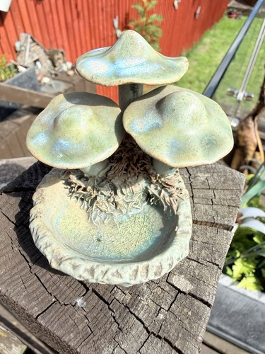 Pretty mushroom toadstool - mushroom,