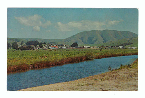 Point reyes california paper - reyes,