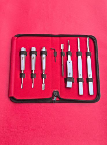 Equine dental elevators set - dental, of