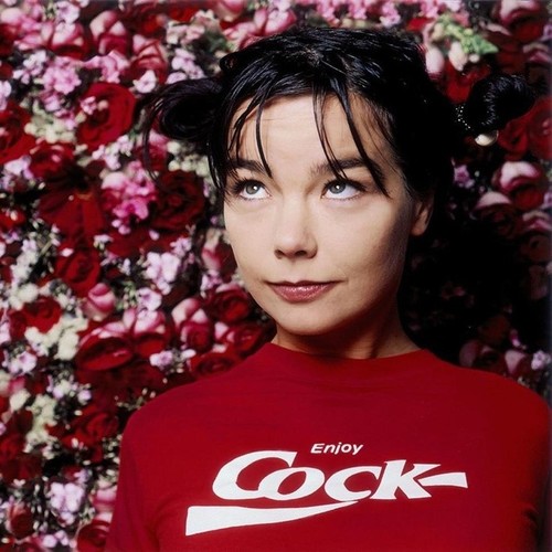 Enjoy cock bjork shirt - bjork, t-shirt