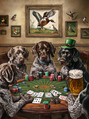 German shorthaired pointers - german,