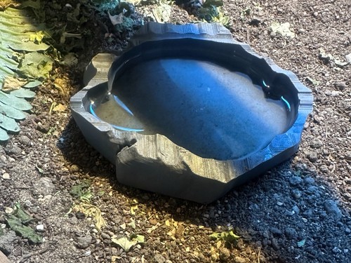 Printed reptile water - reptile,
