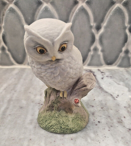 White baby owl signed - owl,