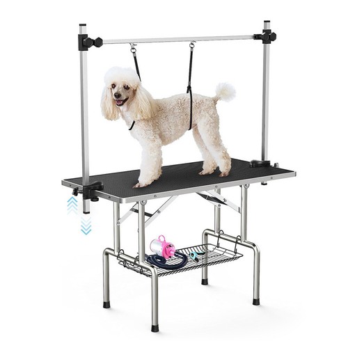 Pet dog cat - pet,