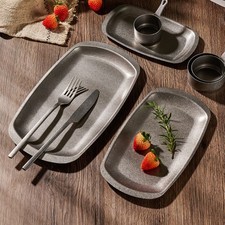 Stainless steel dinner plate - steel,