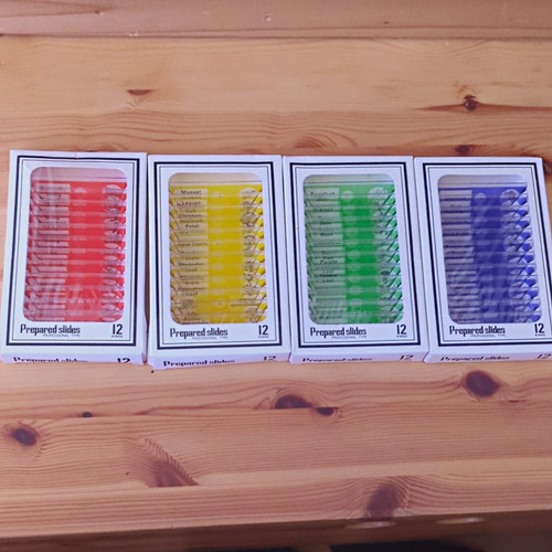 Prepared microscope slide set - prepared,