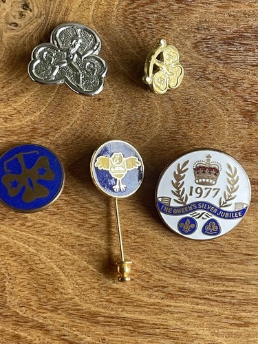 Vintage girl guide badges 5 - vintage,
