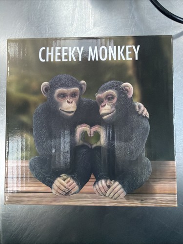 Lesser pavey cheeky - &,