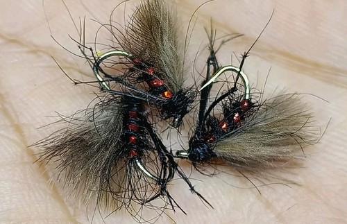 Cdc black and red - x,
