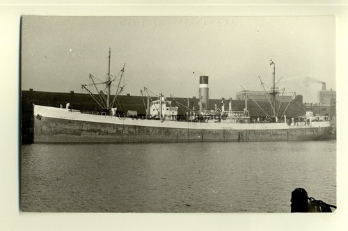C0495 ellerman cargo ship - c0495,