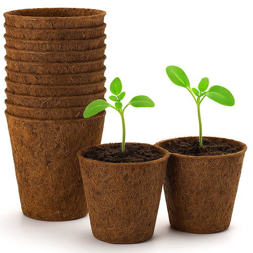 Biodegradable coir plant pots - plant,