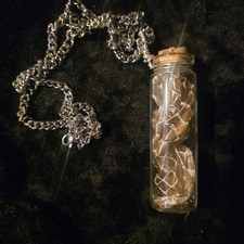 Authentic Preserved Snake Skin