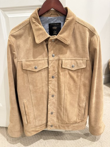 Golden bear suede trucker - bear,