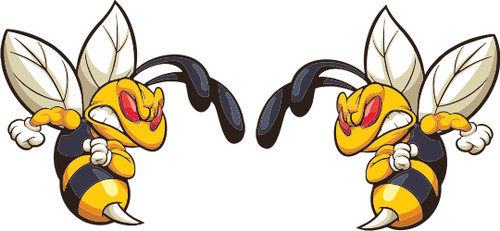 Wasp angry car vespa - angry,