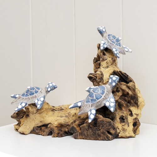 Swimming turtles teak root - on,
