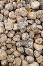 Reclaimed Duck Stones -