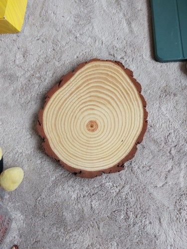 Wooden slices 25cm - slices, log