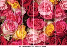 Rose Flower Garden Wallpaper