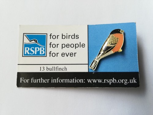 Rspb bullfinch badge - bullfinch, badge.