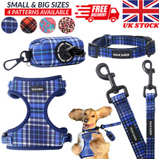 Dog Walking Set – Adjustable