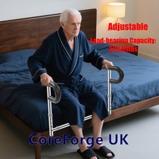 Stand Assist Rail Mobility