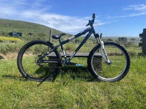 Custom painted dirt - custom, bike