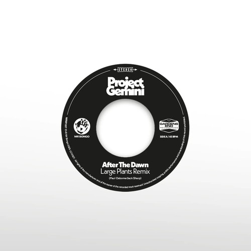Project gemini after - the, dawn