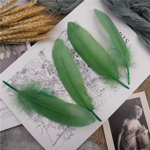 Dyed goose feathers - dyed,