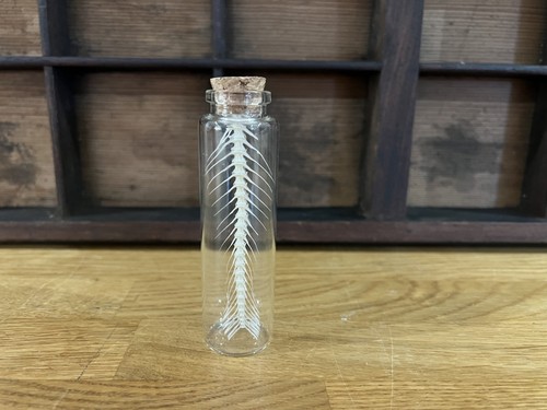 Articulated fish spine - spine, curio
