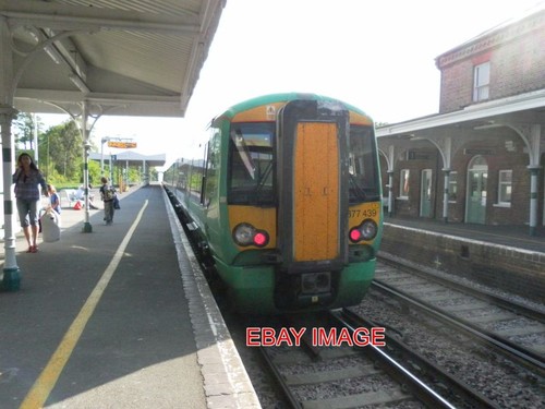 Photo southern emu - photo,